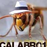 Calabrone
