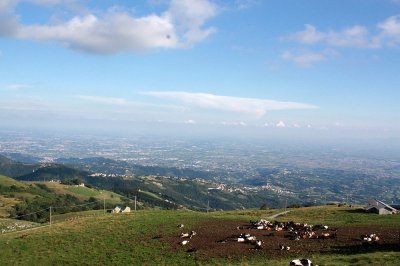 Panorama-dal-punto-vendita_W.thumb.jpg.58c8ed897b148fe245365f152e8846e7.jpg